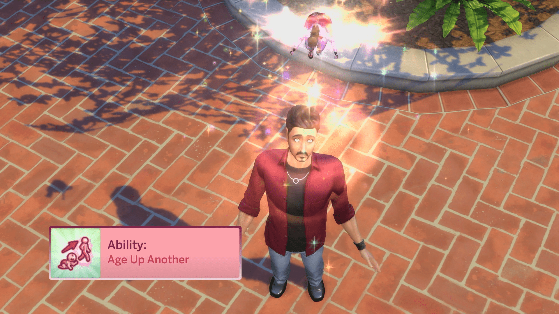 ✨ Age Up Another Sim: Fairies can magically age up other Sims, skipping the cake and candles entirely.